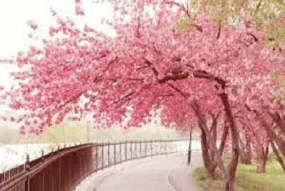 PAISAJES jigsaw puzzle