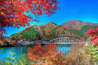 PAISAJES jigsaw puzzle