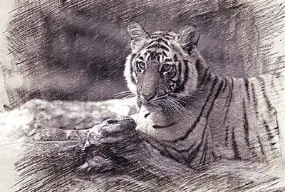 é»‘ç™½é‰›ç­†ç¹ª