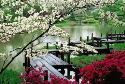 EL JARDIN JAPONES jigsaw puzzle