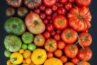 æ¼¸å±¤é£Ÿæ