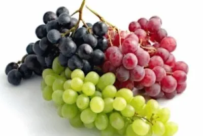 ä¸åŒé¡è‰²è‘¡è„