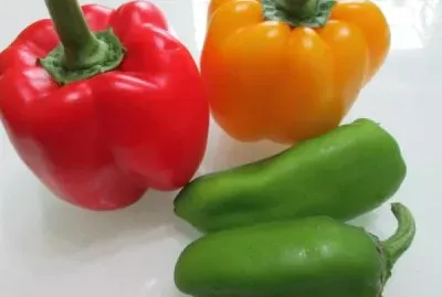 ä¸åŒé¡è‰²é’æ¤’