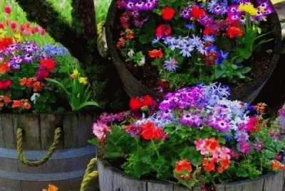 diseÃ±o de jardin