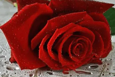 פאזל של imagem