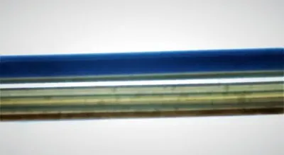Color