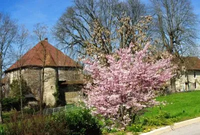 NATUREZA