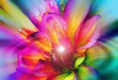 Rainbow Flower