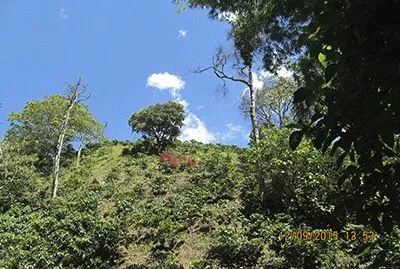 Vereda el Tablazo, Montebello Antioquia