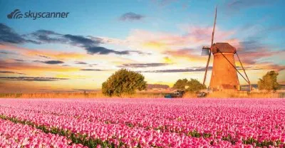 imagem jigsaw puzzle