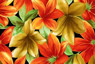 å¤šè‰²ç›¸å®¹