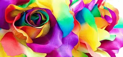 פאזל של èŠ±ç“£