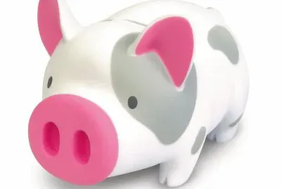 å°è±¬å­˜éŒ¢ç­’