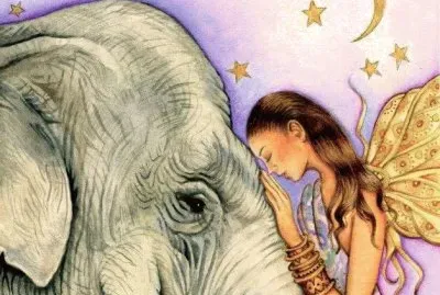 פאזל של ELEFANTE