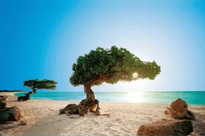 aruba jigsaw puzzle