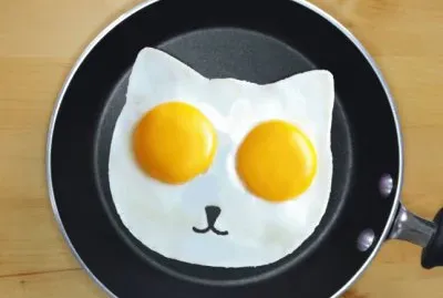 è›‹æ–™ç†