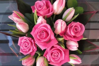 rose
