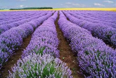 Lugares MAGICOS !!!!!!!