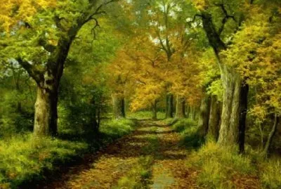 Lugares MAGICOS !!!!!!!