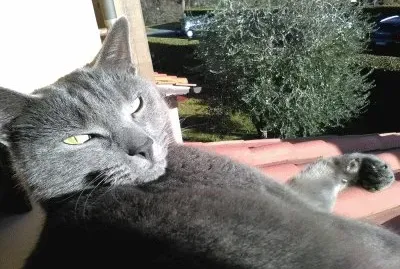 Marietto1 jigsaw puzzle