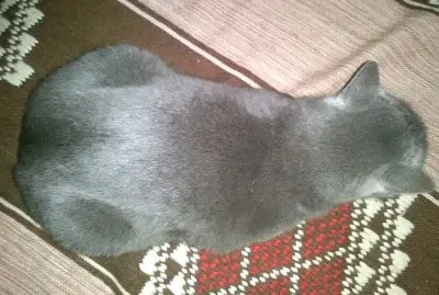Marietto7