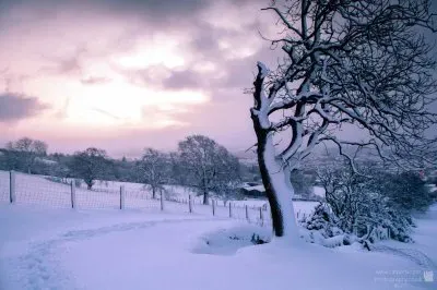 פאזל של Dawnlight on snow