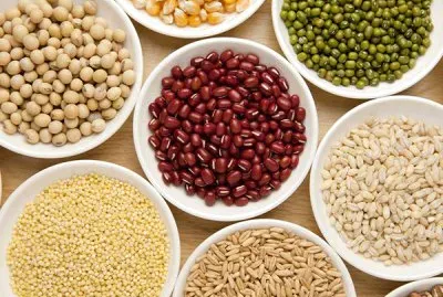 äº”ç©€é›œç³§