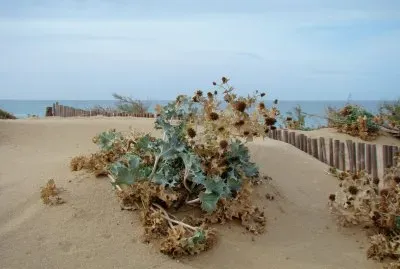 Portixeddu, Sardegna