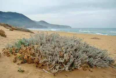 Portixeddu, Sardegna