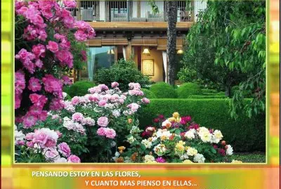 PENSANDO ESTOY EN LAS FLORES, jigsaw puzzle