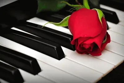 æ¨‚å™¨èˆ‡èŠ±