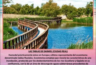 LAS TABLAS DE DAIMIEL (CIUDAD REAL)