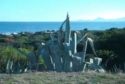 Porto Corallo, Sardegna