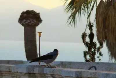 Cagliari, Sardegna