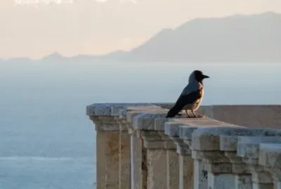 Cagliari, Sardegna