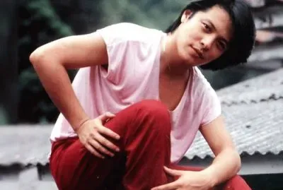 Taiwan 70 's star åŠ‰æ–‡æ­£