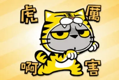 è²“çˆªæŠ“