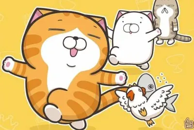 ç™½çˆ›è²“