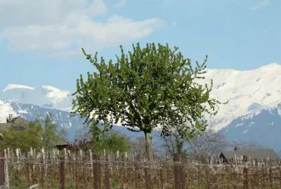 Saint-Pierre d 'Albigny, Savoie
