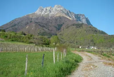 Saint-Pierre d 'Albigny, Savoie jigsaw puzzle