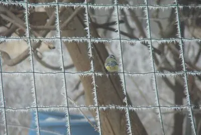 Saint-Pierre d 'Albigny, Savoie