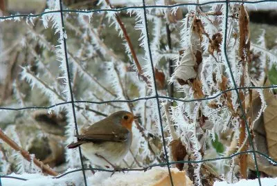 Saint-Pierre d 'Albigny, Savoie
