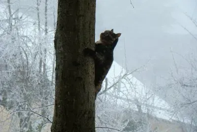Saint-Pierre d 'Albigny, Savoie