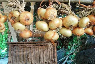 Saint-Pierre d 'Albigny, Savoie