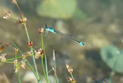 Saint-Jean de la Porte, Savoie