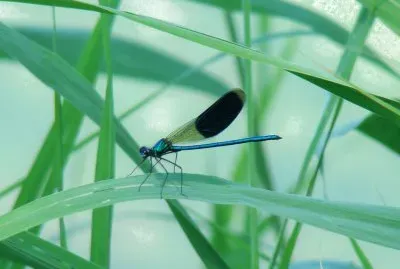 Saint-Jean de la Porte, Savoie