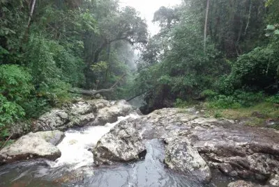 natureza