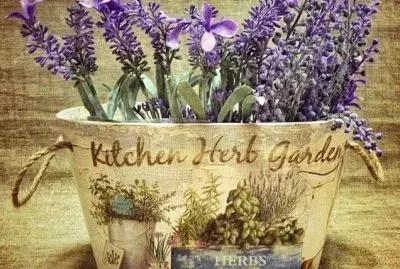 Lugares MÃ gicos !!!