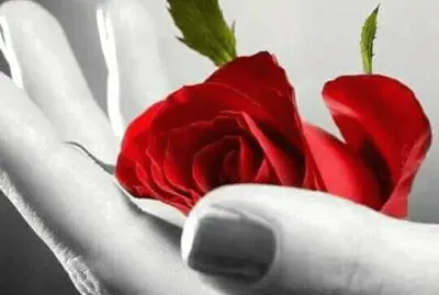 פאזל של imagem