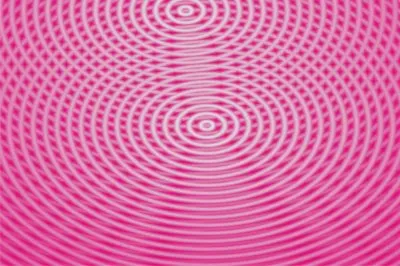 èœ˜è››ç¶² jigsaw puzzle